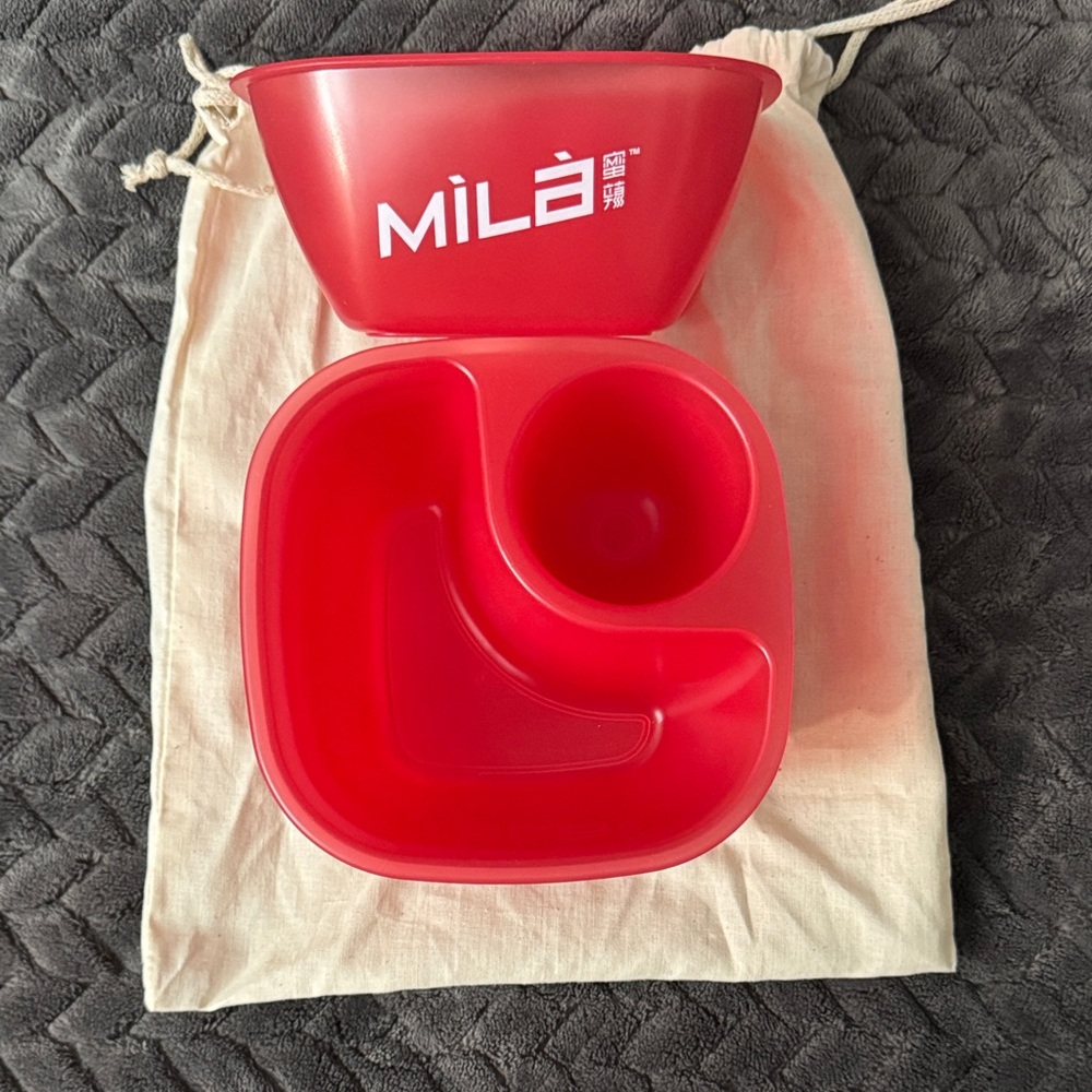 Mila Soup Dumpling Bowl Set of 4 NWT